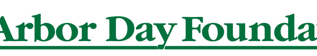 Arbor Day Foundation Names Lockport Tree City USA
